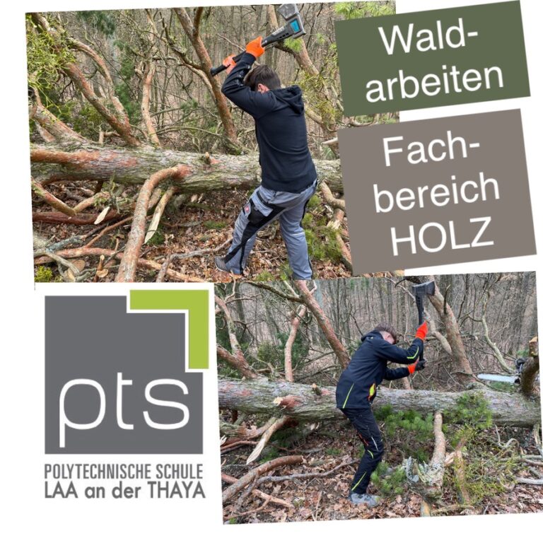 Waldarbeiten