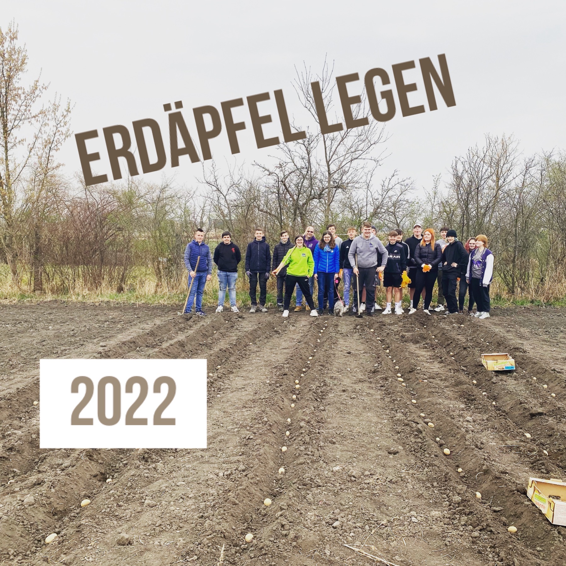 Erdäpfel 2022